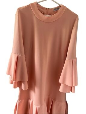 WHY Dress Women’s Medium Pink Ruffle Sleeve Mini Dress